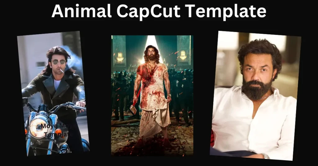 Animal CapCut Template